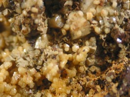 willemite-(coll & photo JDV)